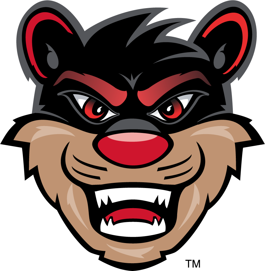 Cincinnati Bearcats 2010-Pres Mascot Logo iron on transfers for clothing